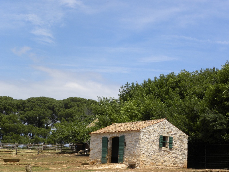 istria2009 385.jpg - Brijuni - nieomal skansen